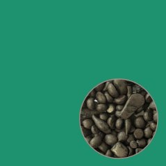 TMAVO ZELENÉ prírodné farbivo vosku, 4 g