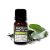 Tea tree (čajovník) – esenciálny olej, od ANCIENT, 10 ml