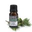 Borovica lesná – esenciálny olej, od ANCIENT, 10 ml