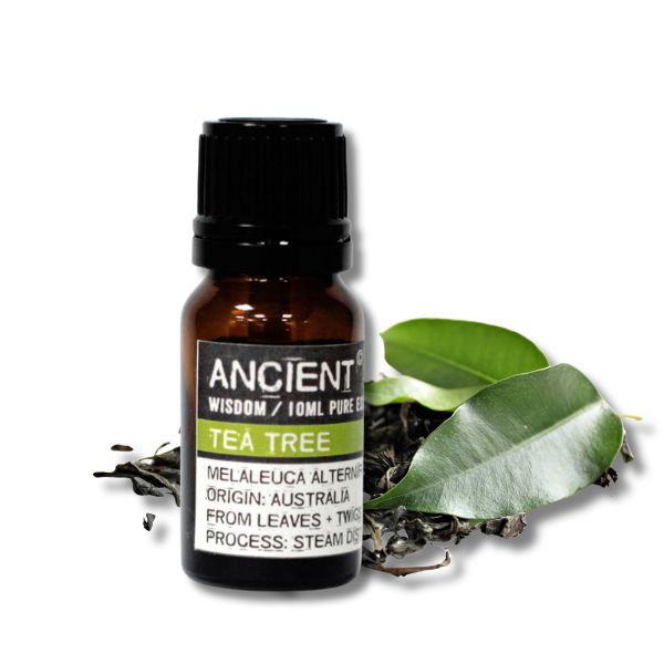 Tea tree (čajovník) – esenciálny olej, od ANCIENT, 10 ml
