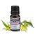 Ylang Ylang I – esenciálny olej, od ANCIENT, 10 ml