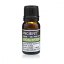 Eukalyptus – esenciálny olej, od ANCIENT, 10 ml