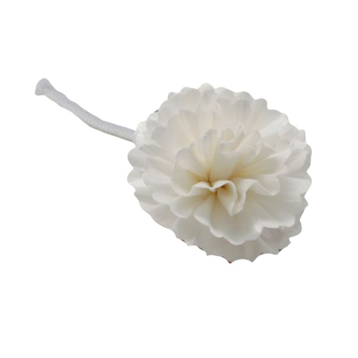 Difúzny kvet, prírodný - karafiát