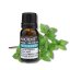 Mäta pieporná – esenciálny olej, od ANCIENT,10 ml